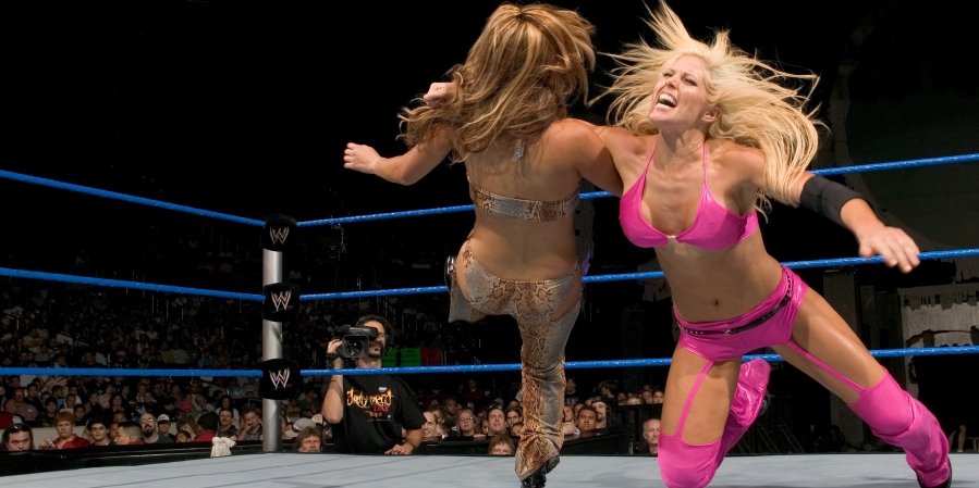 Torrie_Wilson_act.jpg