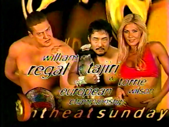 WWF_Sunday_Night_Heat_03_31_2002_VHSRip_x264-THT_mp4_002114979.jpg