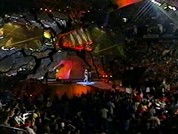 WWF_Sunday_Night_Heat_03_31_2002_VHSRip_x264-THT_mp4_002182079.jpg