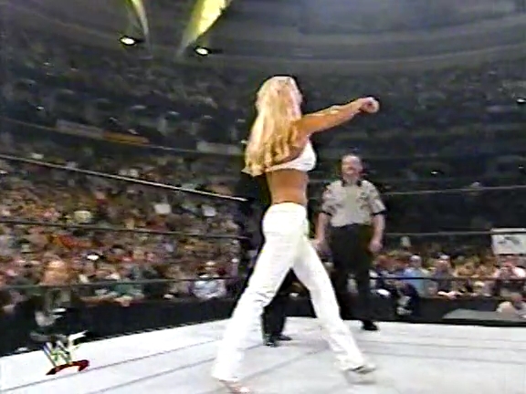 WWF_Sunday_Night_Heat_03_31_2002_VHSRip_x264-THT_mp4_002201031.jpg