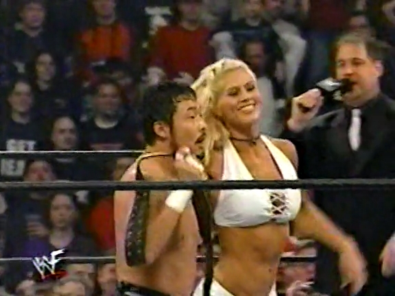 WWF_Sunday_Night_Heat_03_31_2002_VHSRip_x264-THT_mp4_002207271.jpg