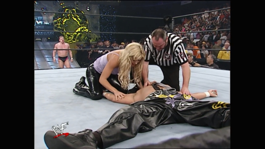 WWE_Survivor_Series_2001_Torrie_Ringside_mp4_000015266.jpg