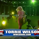 WWE_Global_Warming_2002_Stacy_vs_Torrie_mp4_000342856.jpg