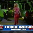 WWE_Global_Warming_2002_Stacy_vs_Torrie_mp4_000343822.jpg