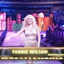 WWE_Wrestlemania_20_Miss_Jackie_Stacy_vs_Sable_Torrie_mp4_000082907.jpg