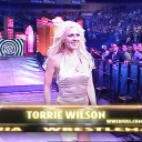 WWE_Wrestlemania_20_Miss_Jackie_Stacy_vs_Sable_Torrie_mp4_000083874.jpg