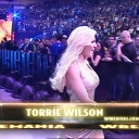 WWE_Wrestlemania_20_Miss_Jackie_Stacy_vs_Sable_Torrie_mp4_000085709.jpg