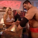 WWE_Royal_Rumble_2005_mp4_004643300.jpg