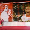 WWE_Wrestlemania_21_Hall_Of_Fame_Ramp_Segment_Featuring_Divas_mp4_000195058.jpg