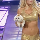 WWE_Unforgiven_2005_Ashley_Trish_vs_Torrie_Victoria_mp4_000028358.jpg