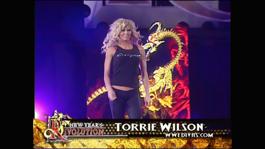 WWE_New_Years_Revolution_2006_Ashley_vs_Candice_vs_Maria_vs_Torrie_vs_Victoria_mp4_000260276.jpg