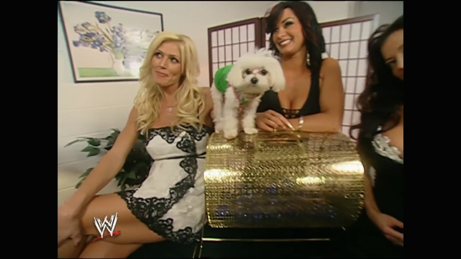 WWE_Royal_Rumble_2006_Candice_Torrie_Victoria_Backstage_Segments_mp4_000006772.jpg