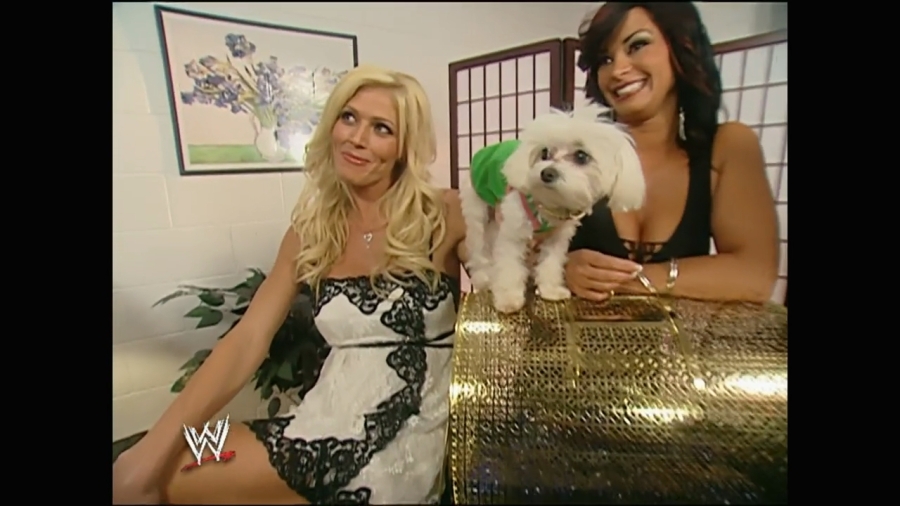 WWE_Royal_Rumble_2006_Candice_Torrie_Victoria_Backstage_Segments_mp4_000007240.jpg