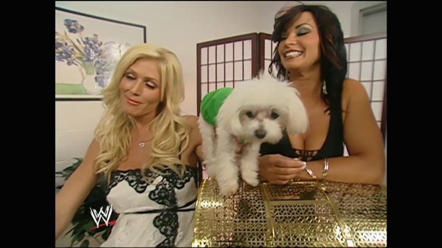 WWE_Royal_Rumble_2006_Candice_Torrie_Victoria_Backstage_Segments_mp4_000008140.jpg