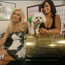 WWE_Royal_Rumble_2006_Candice_Torrie_Victoria_Backstage_Segments_mp4_000006772.jpg