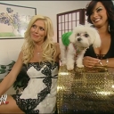 WWE_Royal_Rumble_2006_Candice_Torrie_Victoria_Backstage_Segments_mp4_000007240.jpg