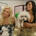 WWE_Royal_Rumble_2006_Candice_Torrie_Victoria_Backstage_Segments_mp4_000008140.jpg