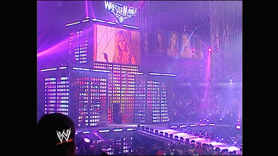 WWE_Wrestlemania_22_Candice_vs_Torrie_mp4_000096248.jpg