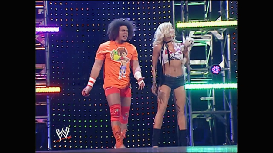 WWE_New_Years_Revolution_2007_Torrie_Ringside_mp4_000015380.jpg