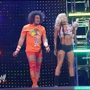 WWE_New_Years_Revolution_2007_Torrie_Ringside_mp4_000015380.jpg