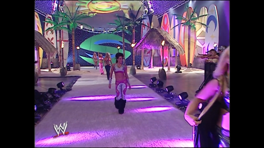 WWE_Summerslam_2007_Divas_Battle_Royal_mp4_000102999.jpg