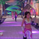 WWE_Summerslam_2007_Divas_Battle_Royal_mp4_000104667.jpg