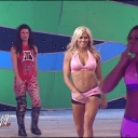 WWE_Summerslam_2007_Divas_Battle_Royal_mp4_000106736.jpg