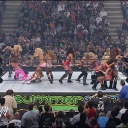 WWE_Summerslam_2007_Divas_Battle_Royal_mp4_000165092.jpg