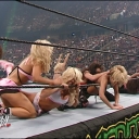 WWE_Summerslam_2007_Divas_Battle_Royal_mp4_000258149.jpg