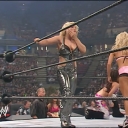 WWE_Summerslam_2007_Divas_Battle_Royal_mp4_000433285.jpg