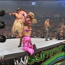 WWE_Summerslam_2007_Divas_Battle_Royal_mp4_000466050.jpg