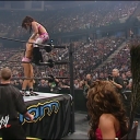 WWE_Summerslam_2007_Divas_Battle_Royal_mp4_000512328.jpg