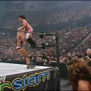 WWE_Summerslam_2007_Divas_Battle_Royal_mp4_000513796.jpg