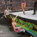 WWE_Summerslam_2007_Divas_Battle_Royal_mp4_000527176.jpg