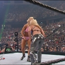 WWE_Summerslam_2007_Divas_Battle_Royal_mp4_000550632.jpg