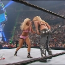 WWE_Summerslam_2007_Divas_Battle_Royal_mp4_000552567.jpg