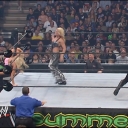 WWE_Summerslam_2007_Divas_Battle_Royal_mp4_000556304.jpg