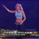 WWE_Survivor_Series_2007_Beth_Jillian_Layla_Melina_Victoria_vs_Kelly_Maria_Michelle_Mickie_Torrie_mp4_000184478.jpg