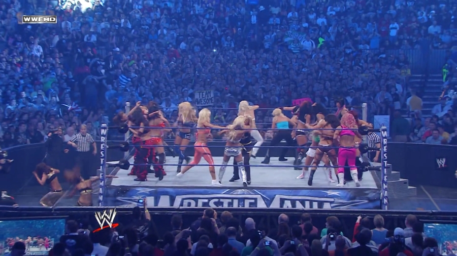 WWE_WrestleMania_25-video_ts_002536900.jpg