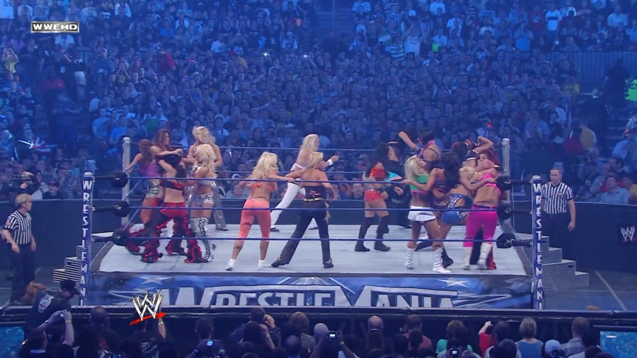 WWE_WrestleMania_25-video_ts_002540800.jpg