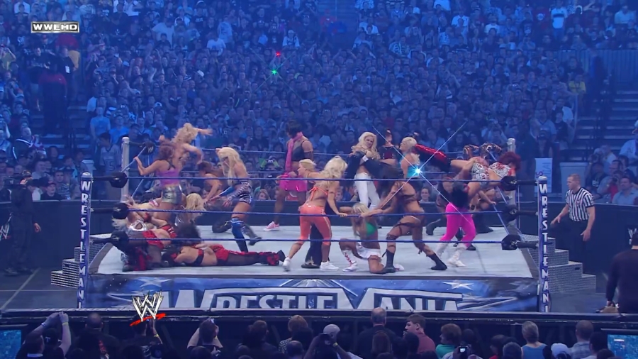 WWE_WrestleMania_25-video_ts_002548033.jpg