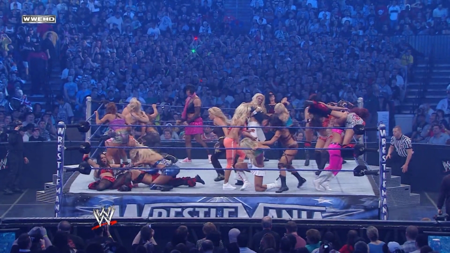 WWE_WrestleMania_25-video_ts_002548800.jpg