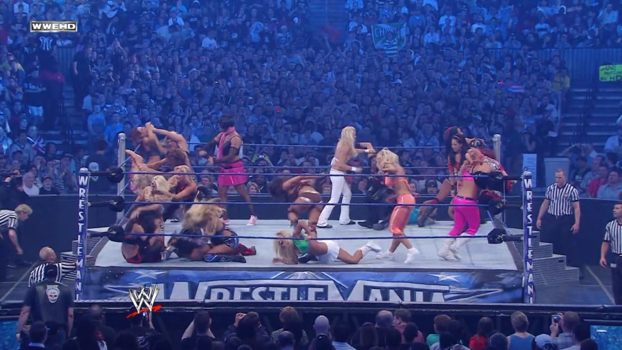 WWE_WrestleMania_25-video_ts_002552900.jpg