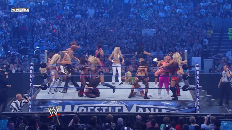 WWE_WrestleMania_25-video_ts_002562900.jpg