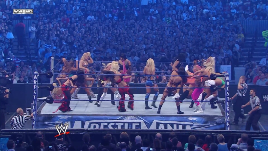 WWE_WrestleMania_25-video_ts_002571000.jpg