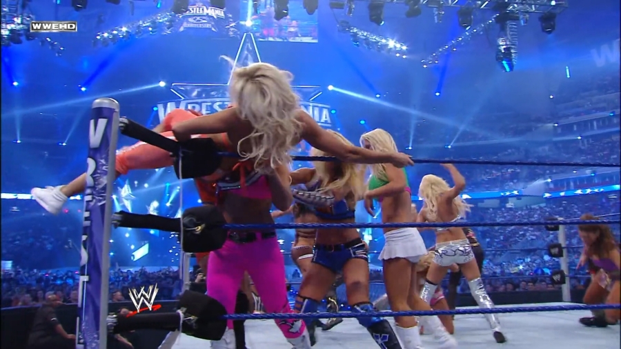 WWE_WrestleMania_25-video_ts_002589100.jpg