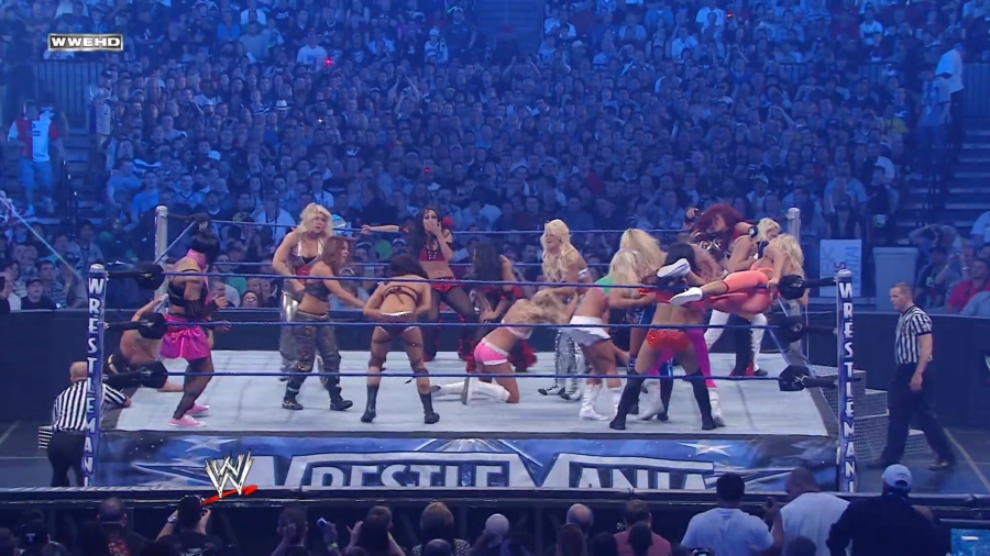 WWE_WrestleMania_25-video_ts_002590900.jpg