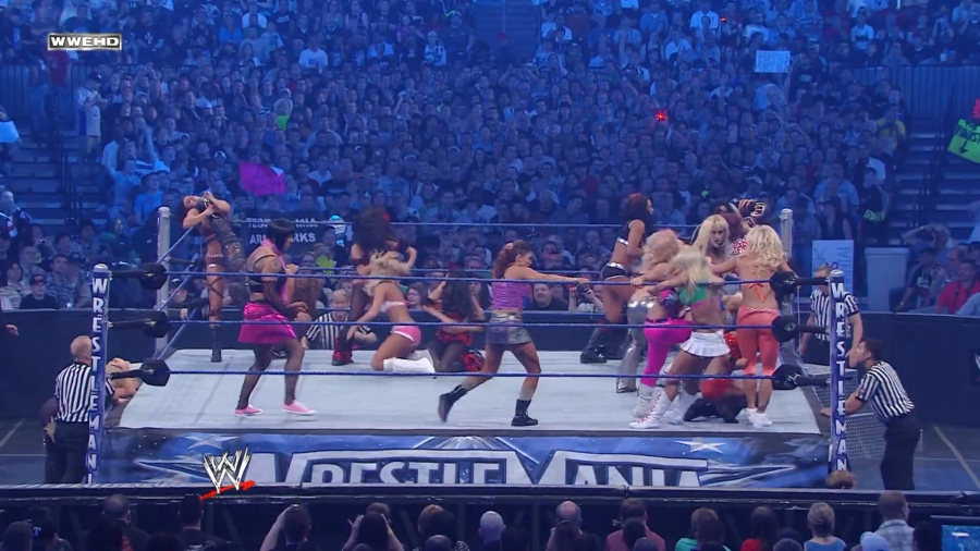 WWE_WrestleMania_25-video_ts_002602066.jpg