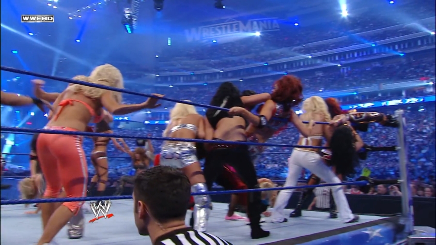 WWE_WrestleMania_25-video_ts_002612166.jpg