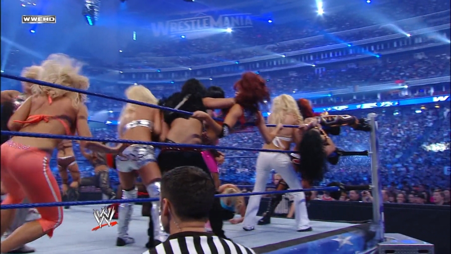 WWE_WrestleMania_25-video_ts_002612500.jpg